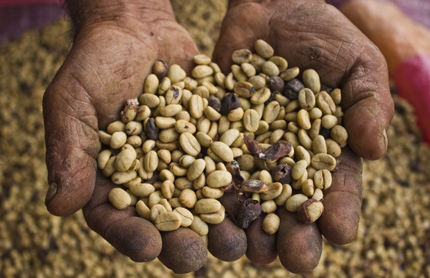 café-colombia