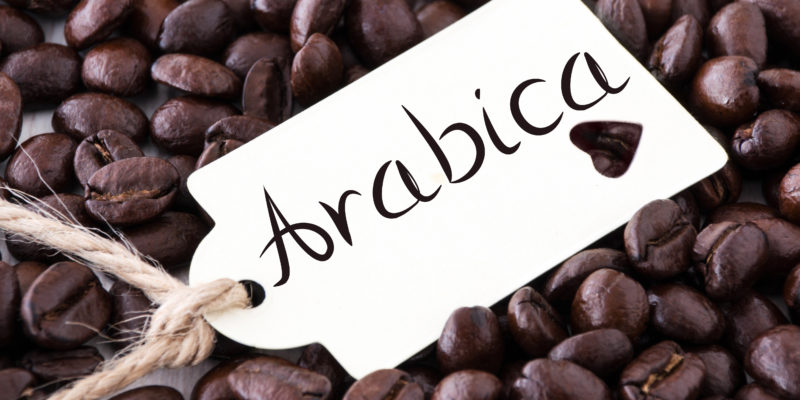 Variedades del café, café arábica