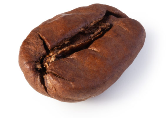 grano de café maqcaffé