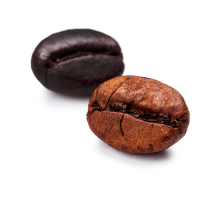 Grano De Café Torrefacto 2